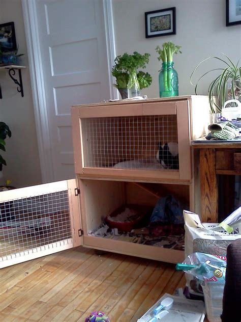 rabbit enclosure needs